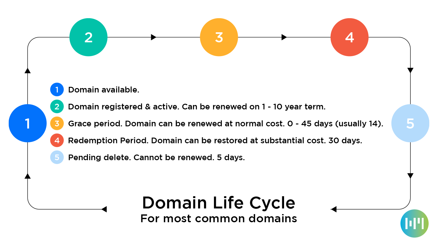 The lifecycle of common domain name extensions
